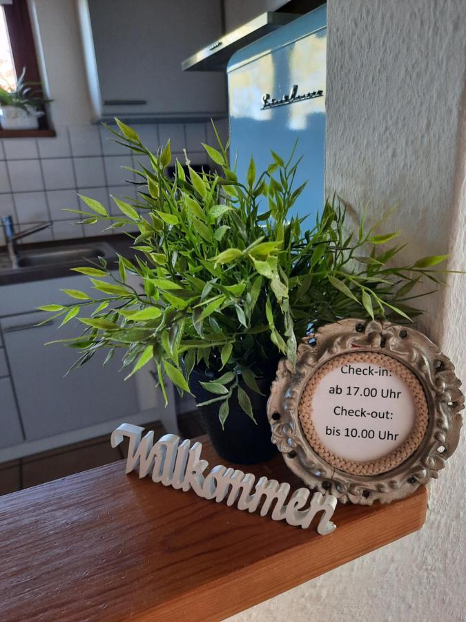 Schoene Einzimmer Wohnung Zwischen Bodensee Und Allgaeu Neukirch  Exteriör bild