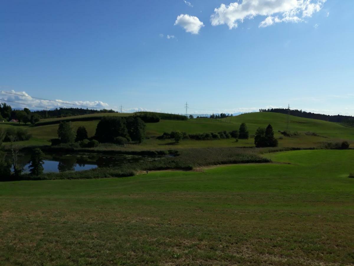 Schoene Einzimmer Wohnung Zwischen Bodensee Und Allgaeu Neukirch  Exteriör bild