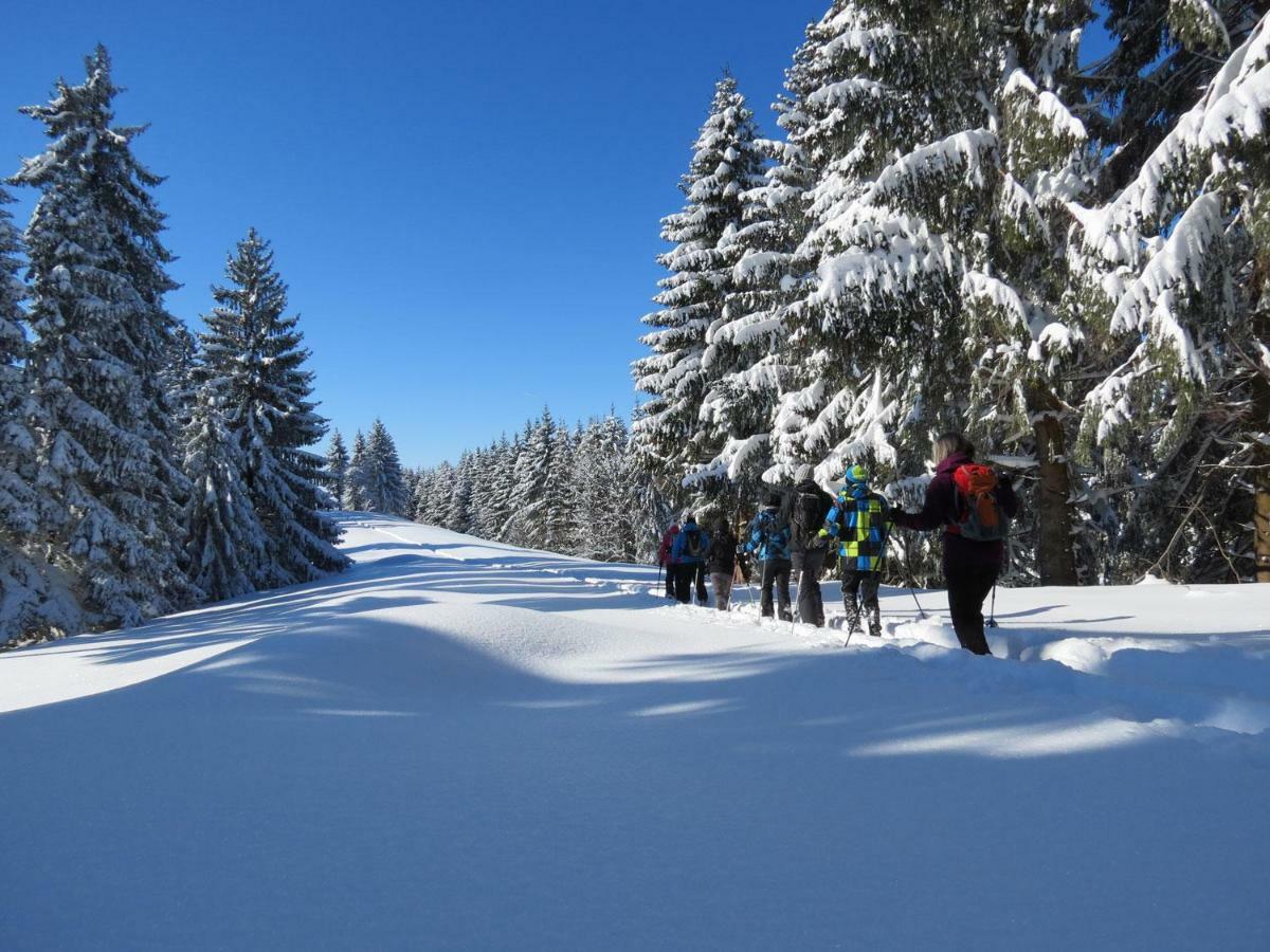 Schoene Einzimmer Wohnung Zwischen Bodensee Und Allgaeu Neukirch  Exteriör bild